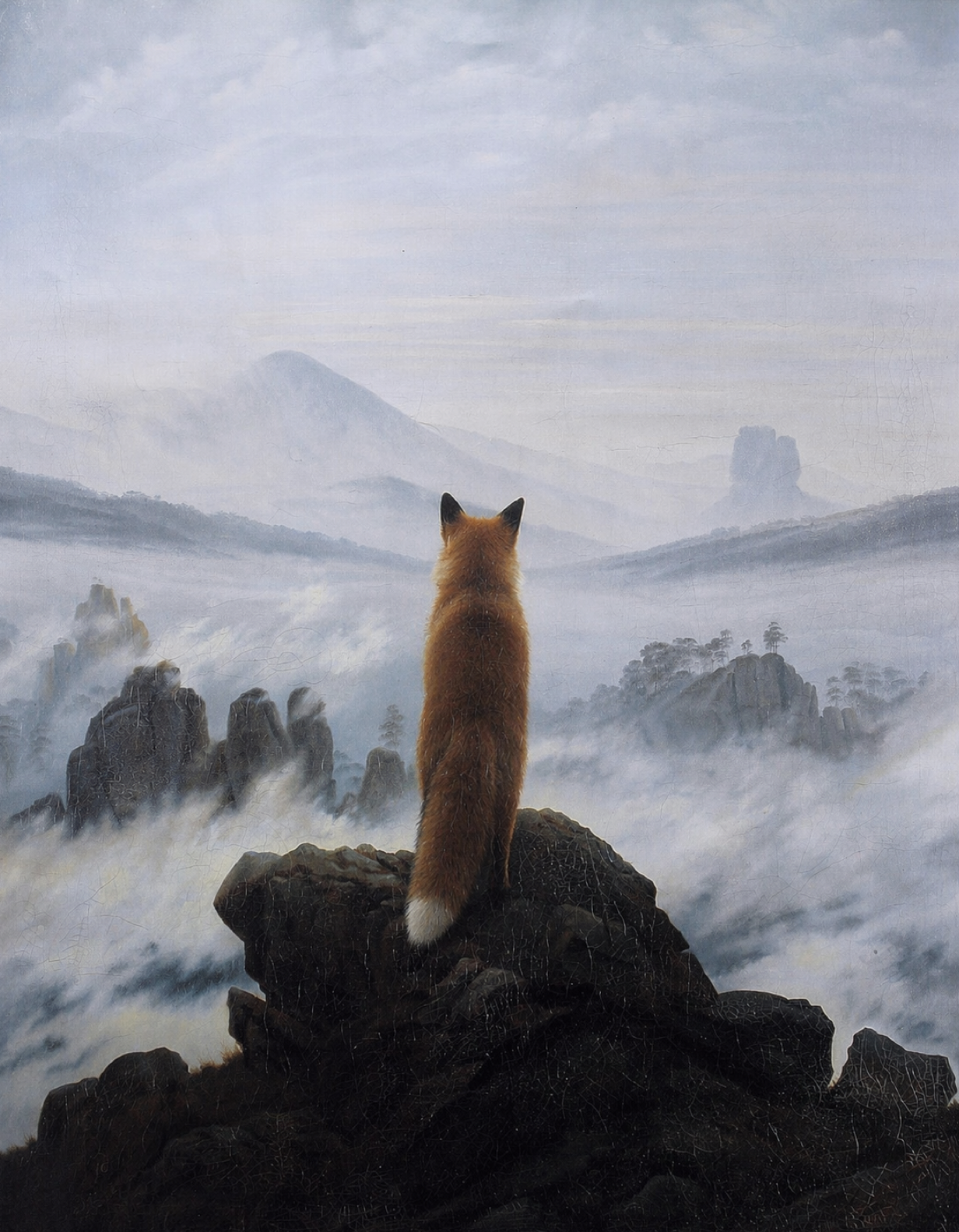 Le renard sur une montagne.